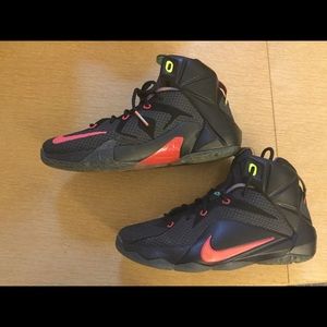 Nike Lebron 12 “Data” basketball shoe NEW. ✨